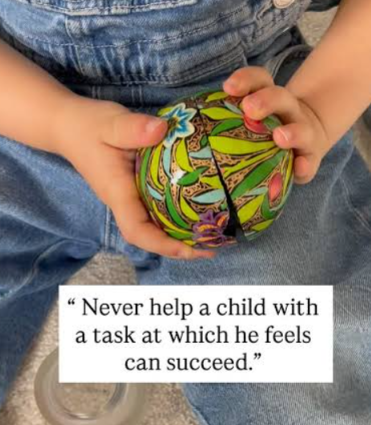 Montessori quote: Never help a child with a task at which he feels he can succeed.
